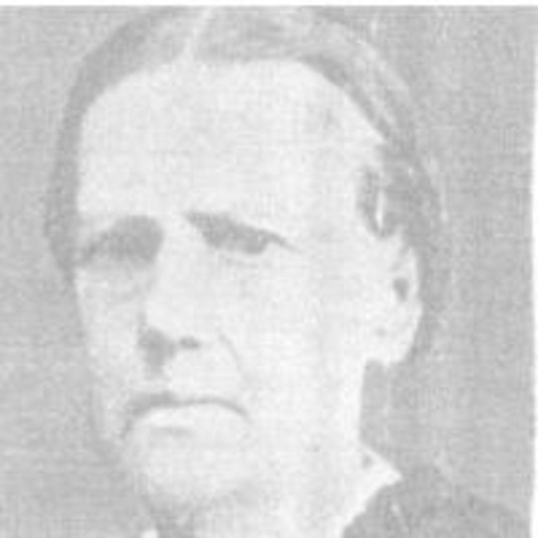 Nancy McDaniel Allen (1809 - 1878) Profile